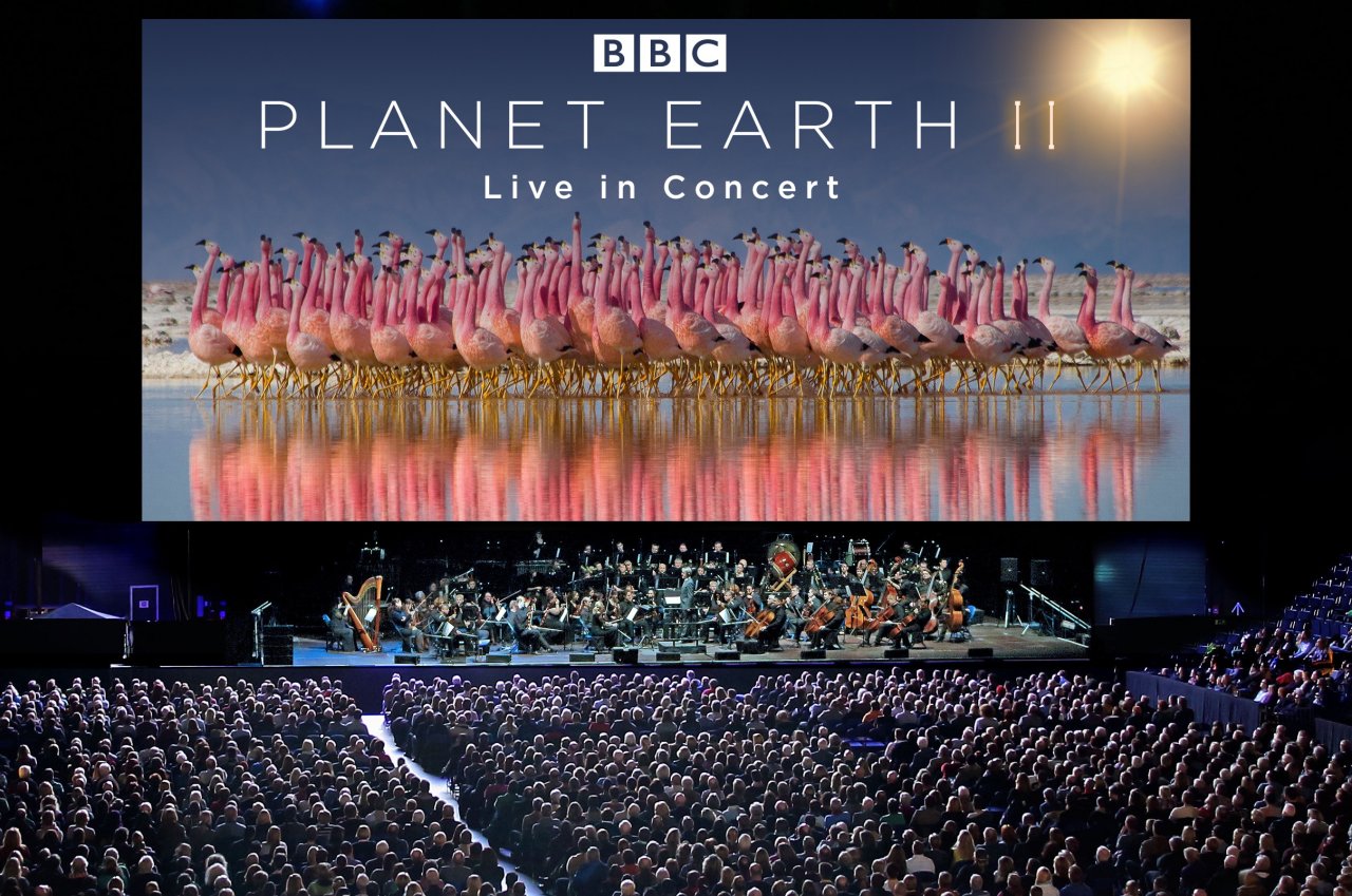 Planet Earth II Live Concert